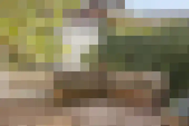 Boskamphoek 16 Enschede thumbnail 31