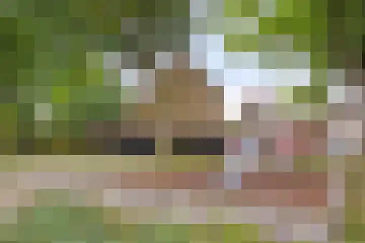 Boskamphoek 16 Enschede thumbnail 32