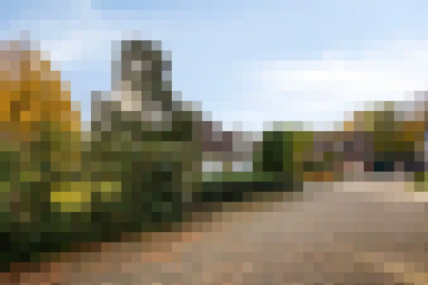 Boskant 13 Handel thumbnail 11