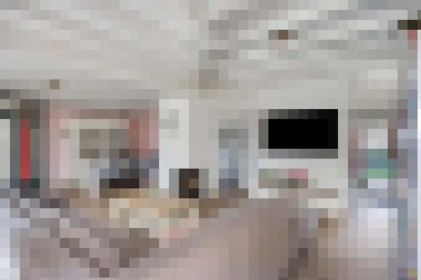 Boskant 13 Handel thumbnail 15