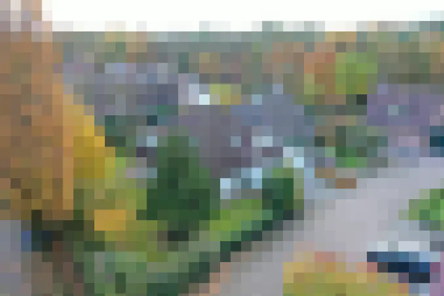 Boskant 13 Handel foto 2