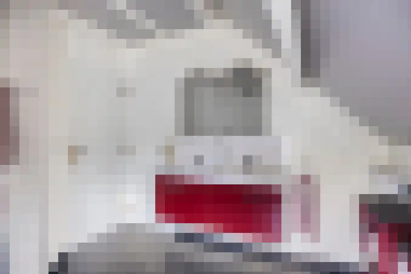 Boskant 13 Handel thumbnail 34