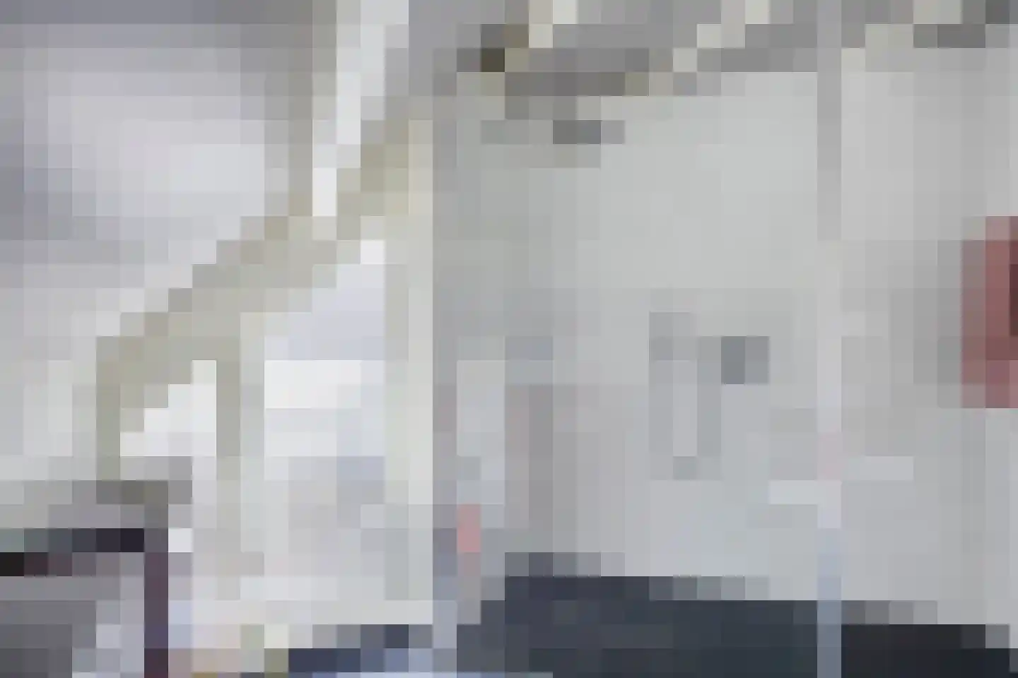 Boskant 13 Handel thumbnail 35