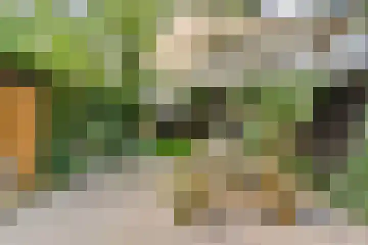 Boskant 13 Handel thumbnail 36