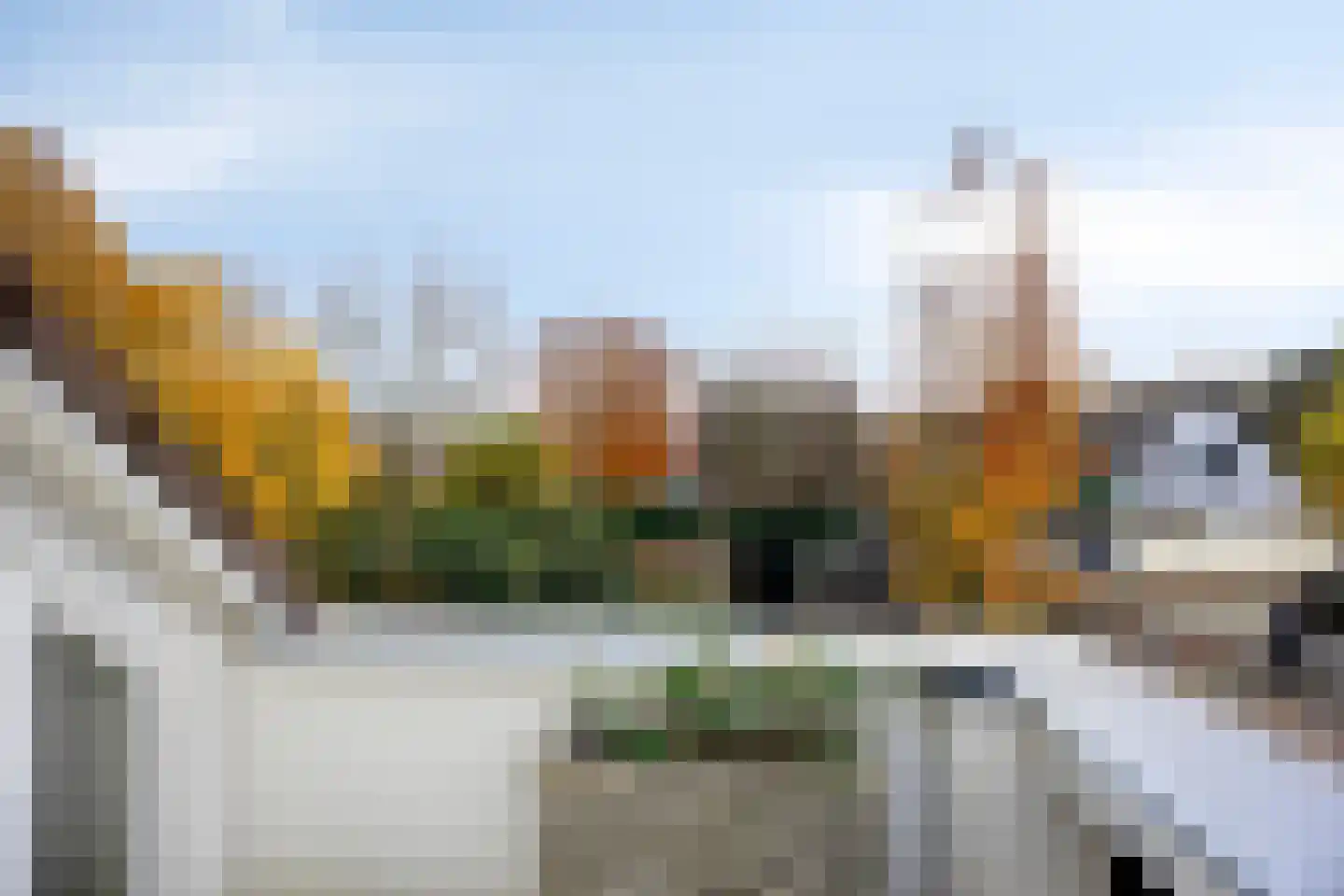 Boskant 13 Handel thumbnail 37