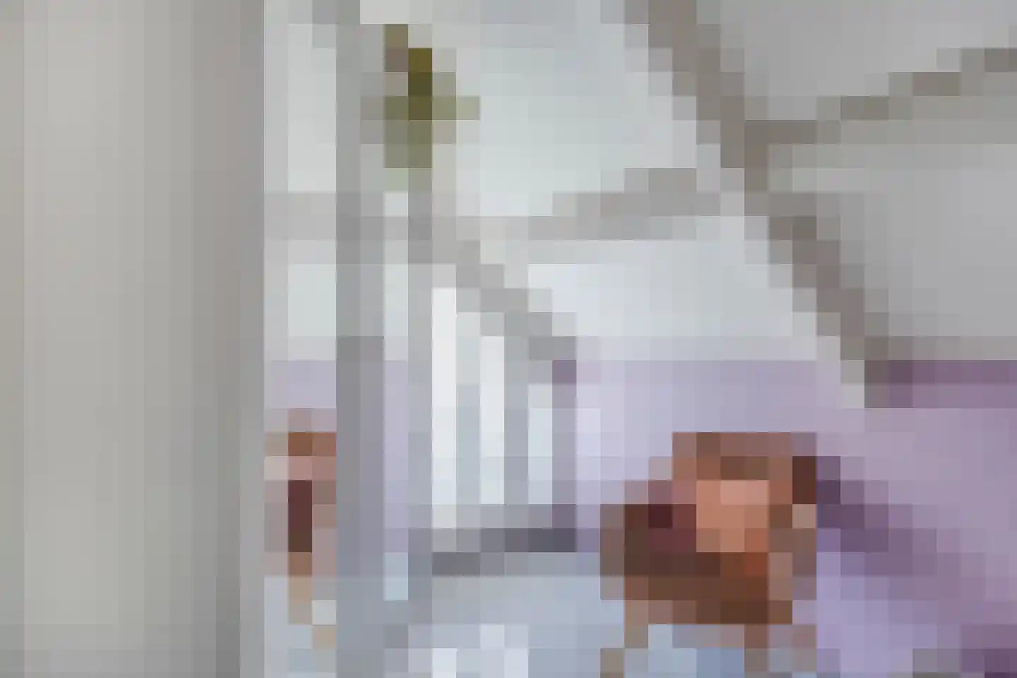 Boskant 13 Handel thumbnail 39