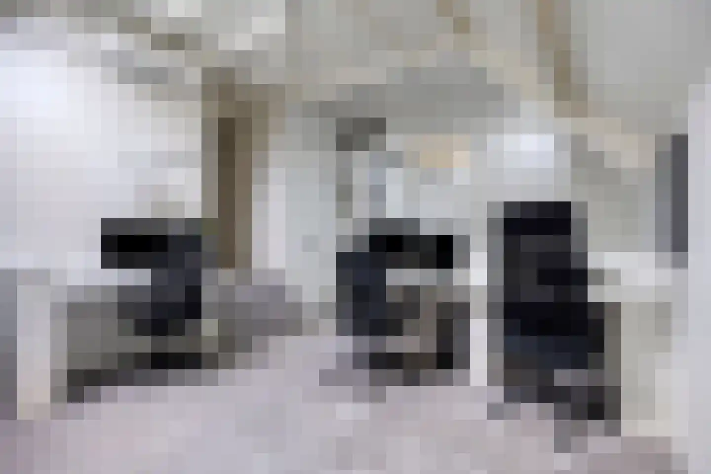 Boskant 13 Handel thumbnail 43