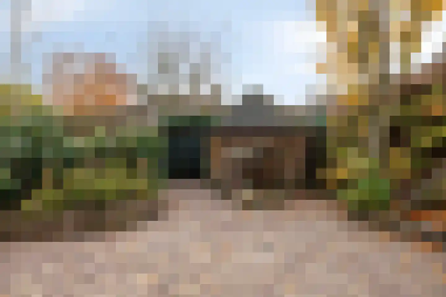 Boskant 13 Handel thumbnail 47
