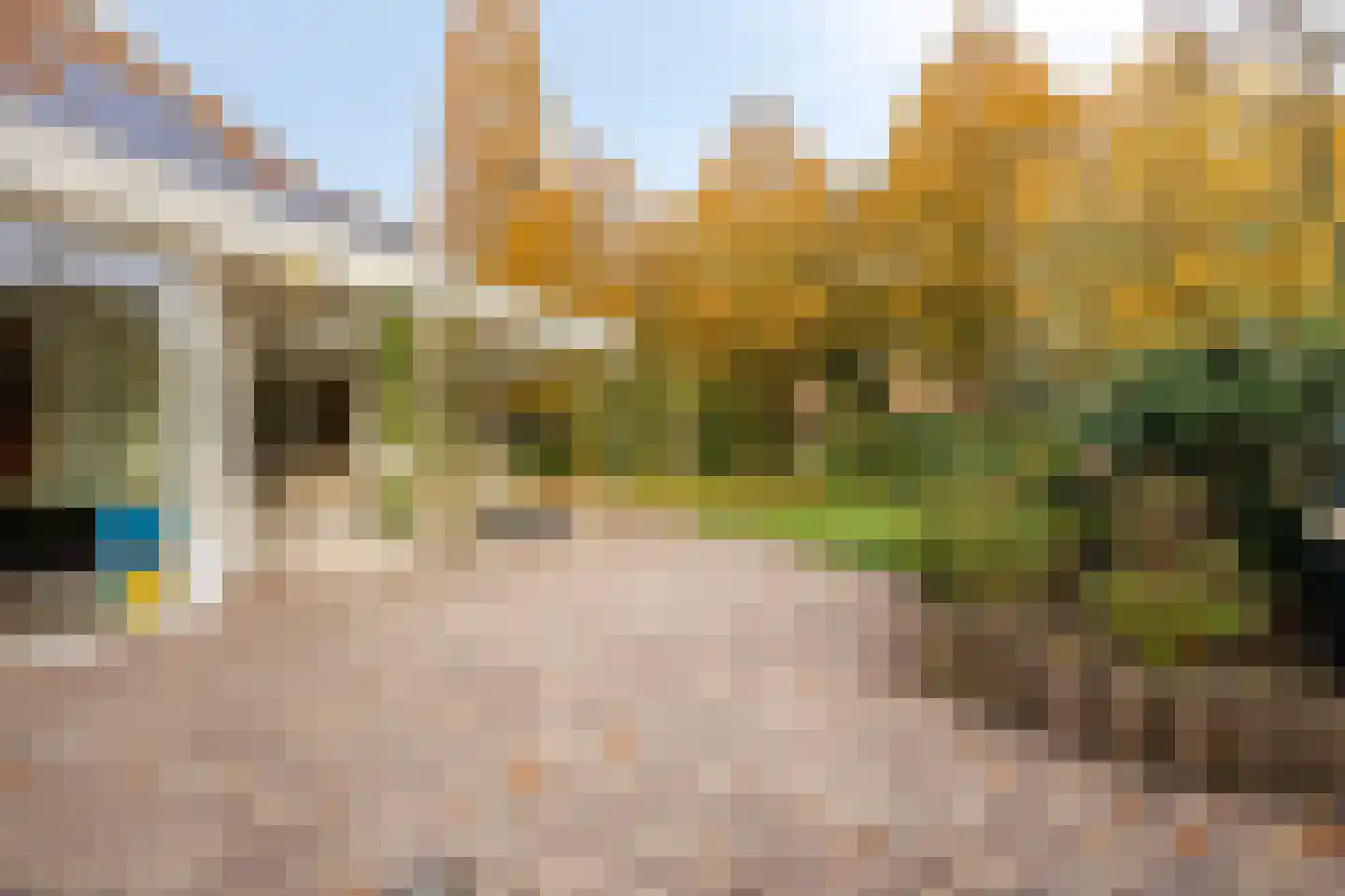 Boskant 13 Handel thumbnail 48