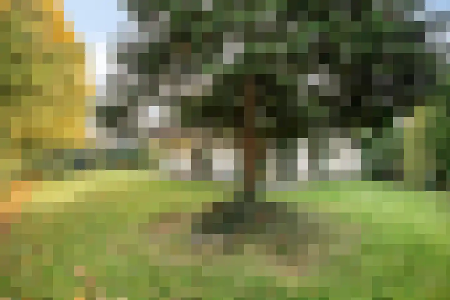 Boskant 13 Handel thumbnail 51