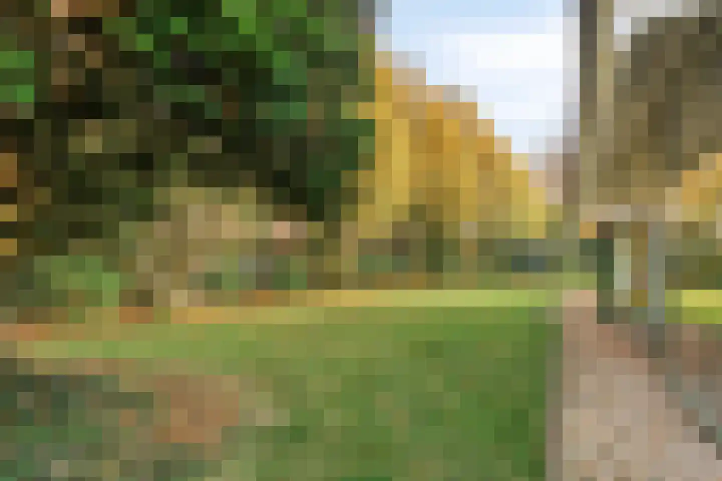 Boskant 13 Handel thumbnail 53