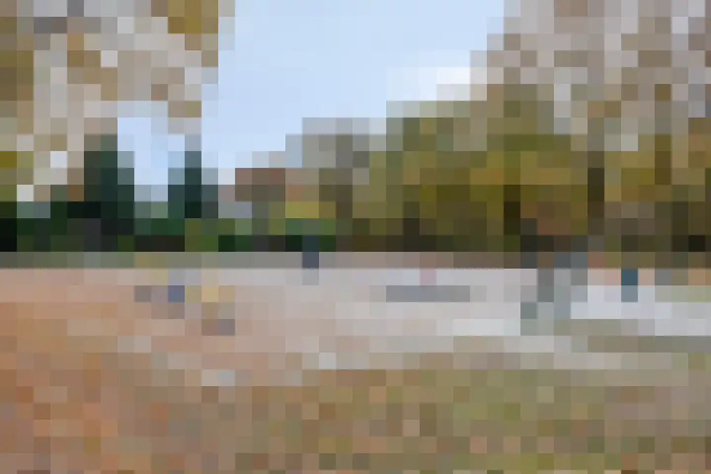 Boskant 13 Handel thumbnail 57