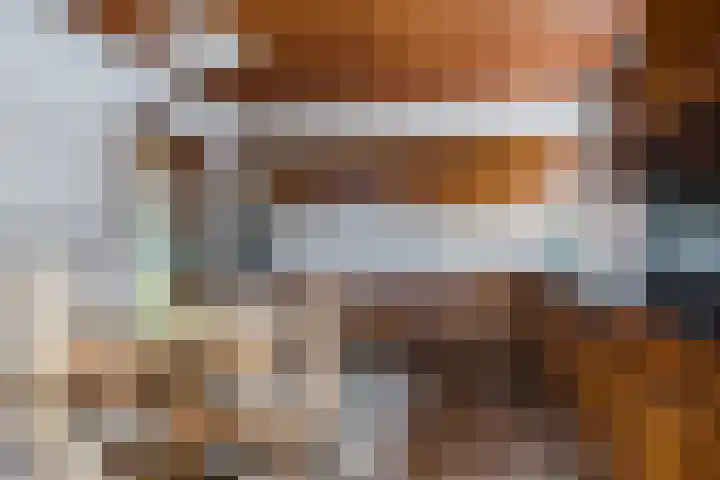 Boskant 15 Handel thumbnail 13