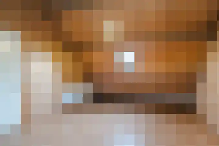 Boskant 15 Handel thumbnail 18