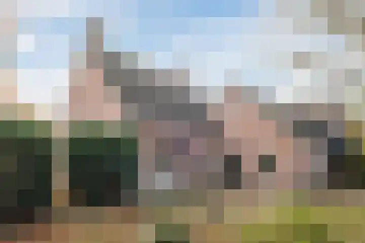 Boskant 15 Handel thumbnail 31