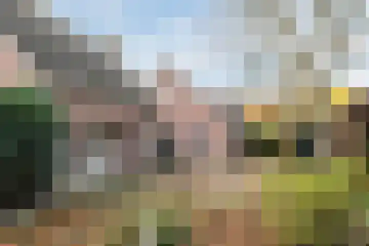 Boskant 15 Handel thumbnail 32