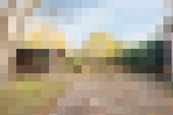 Boskant 15 Handel thumbnail 35
