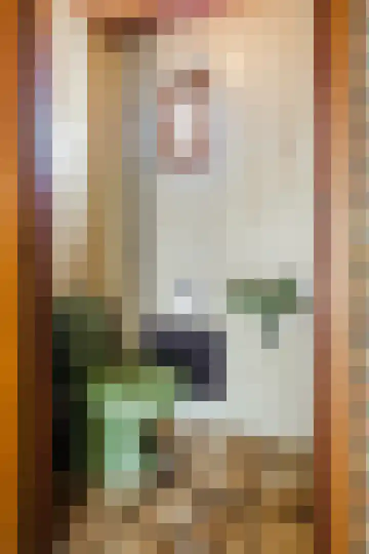 Boskant 15 Handel thumbnail 7
