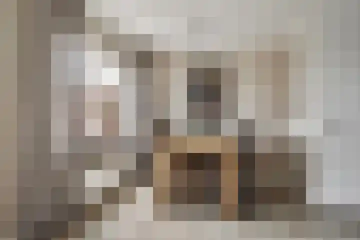 Boskant 61 Handel thumbnail 14