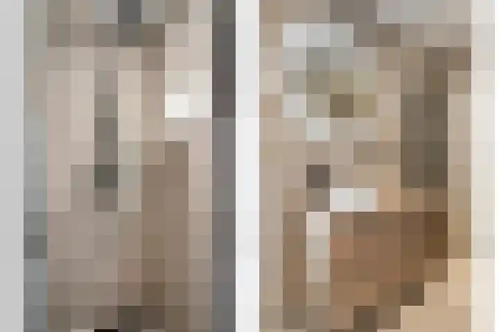 Boskant 61 Handel thumbnail 23