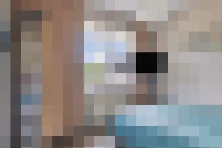 Boskant 61 Handel thumbnail 25