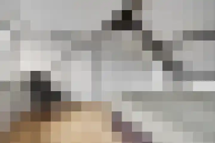 Boskant 61 Handel thumbnail 29