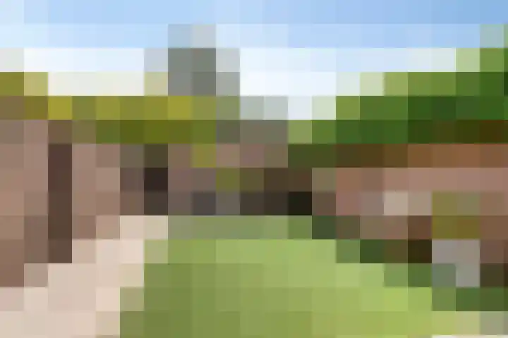 Boskant 61 Handel thumbnail 31