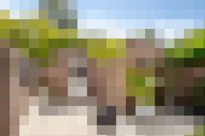 Boskant 61 Handel thumbnail 32