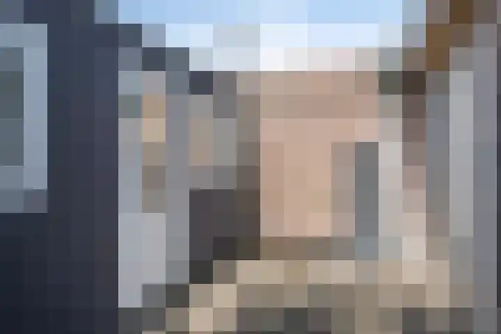 Boskant 61 Handel thumbnail 35