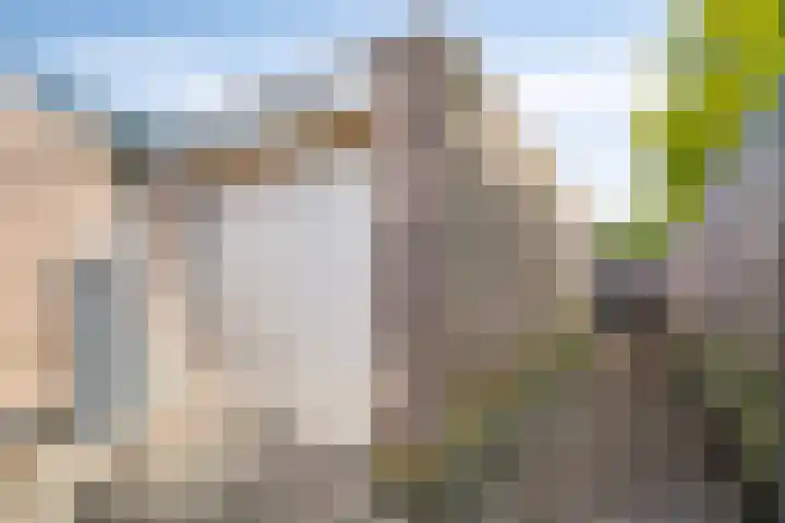 Boskant 61 Handel thumbnail 37