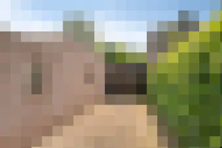 Boskant 61 Handel thumbnail 38
