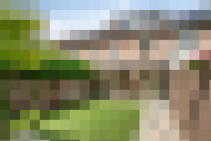 Boskant 61 Handel thumbnail 5