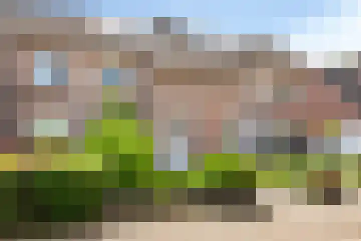 Boskant 61 Handel thumbnail 7