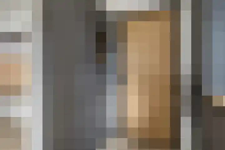 Boskkamp 2 Bakkeveen thumbnail 12