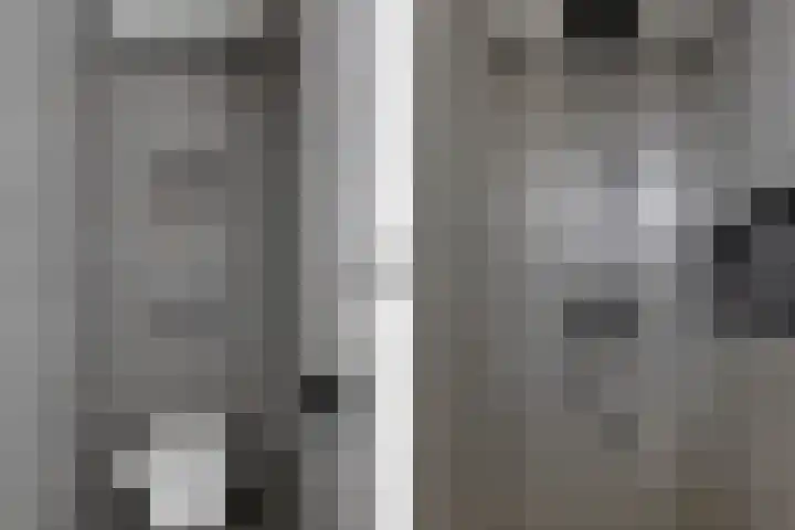 Boskkamp 2 Bakkeveen thumbnail 25