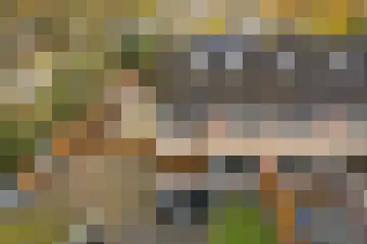 Boskkamp 2 Bakkeveen thumbnail 34