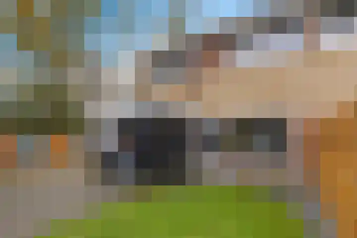 Boskkamp 2 Bakkeveen thumbnail 35