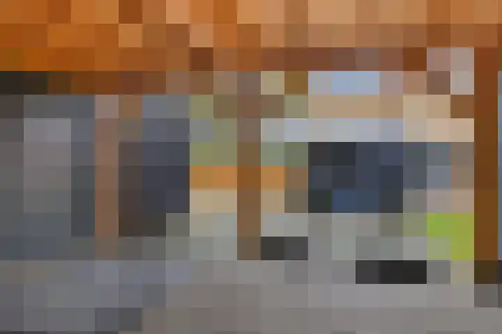 Boskkamp 2 Bakkeveen thumbnail 36