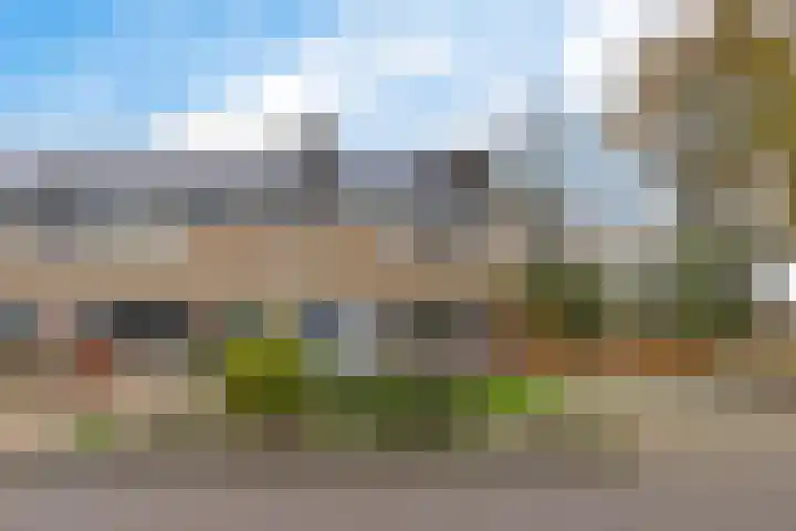 Boskkamp 2 Bakkeveen thumbnail 44