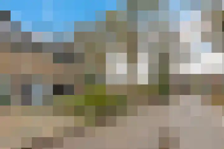 Boskkamp 2 Bakkeveen thumbnail 46