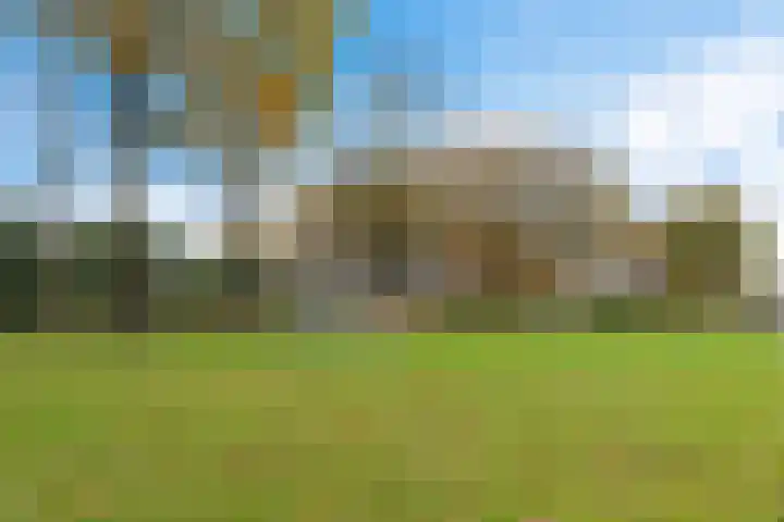 Boskkamp 2 Bakkeveen thumbnail 49