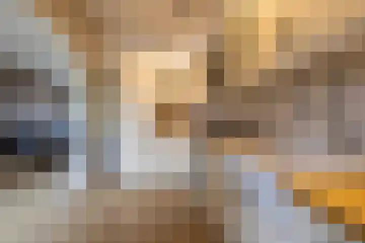 Boskkamp 30 Augustinusga thumbnail 16