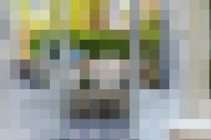 Boskkamp 30 Augustinusga thumbnail 20