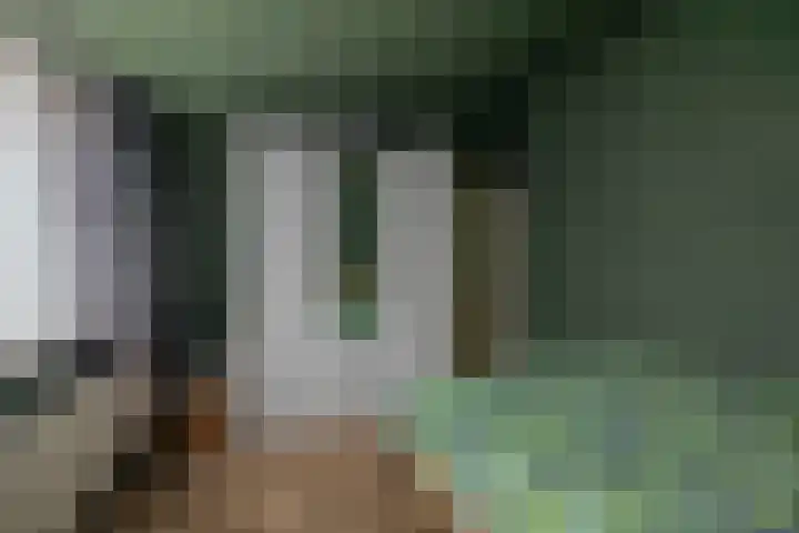 Boskkamp 30 Augustinusga thumbnail 24