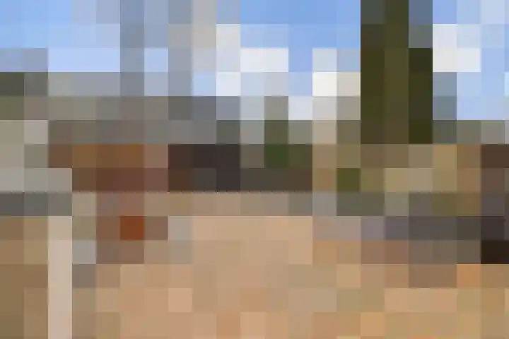 Boskkamp 30 Augustinusga thumbnail 27