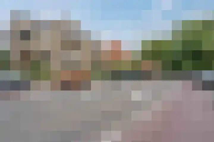 Boskkamp 30 Augustinusga thumbnail 30