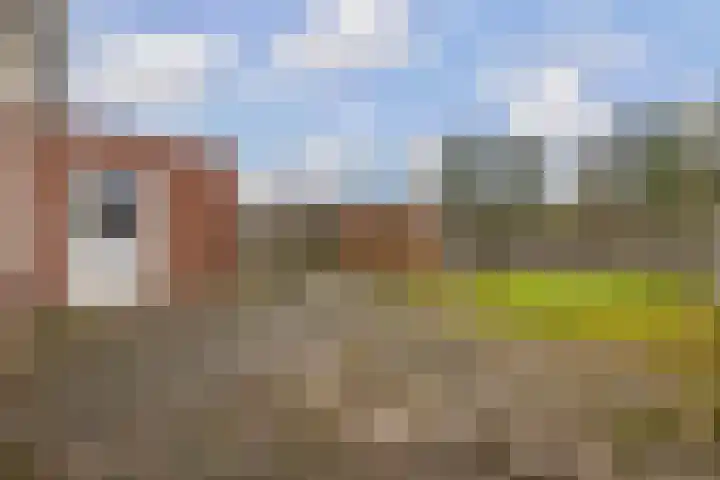 Boskkamp 30 Augustinusga thumbnail 31