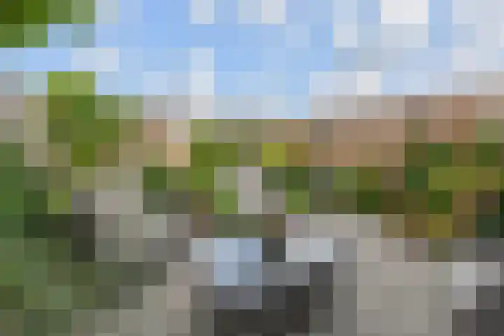 Boskkamp 30 Augustinusga thumbnail 34