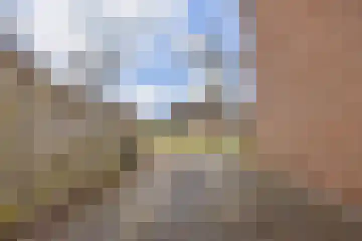 Boskkamp 30 Augustinusga thumbnail 34