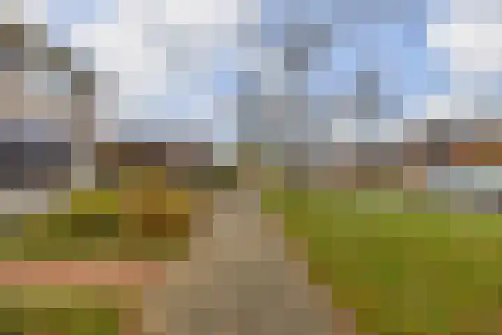 Boskkamp 30 Augustinusga thumbnail 35